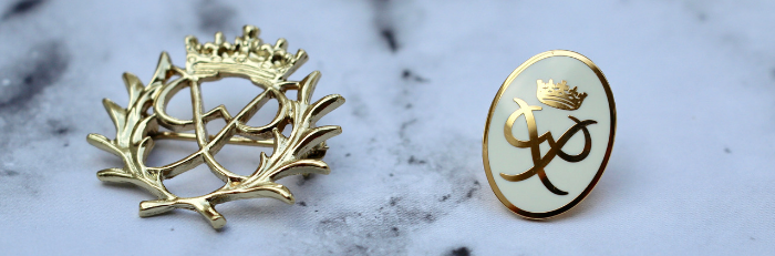 DofE Gold Award brooch and badge