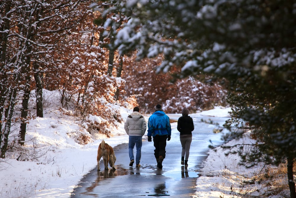 Three people and a dog walking in wintery park