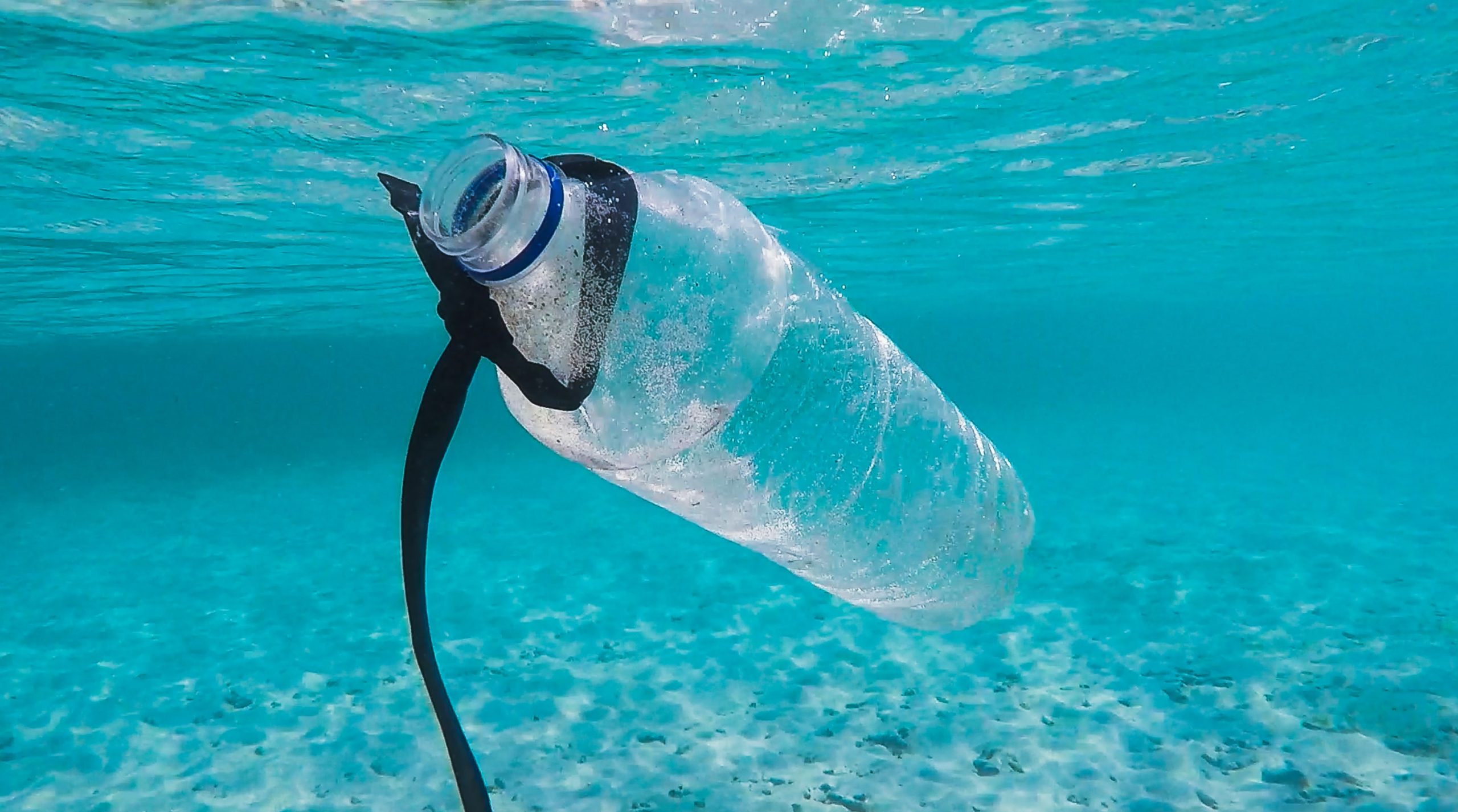 Plastic bottle floating in the ocean