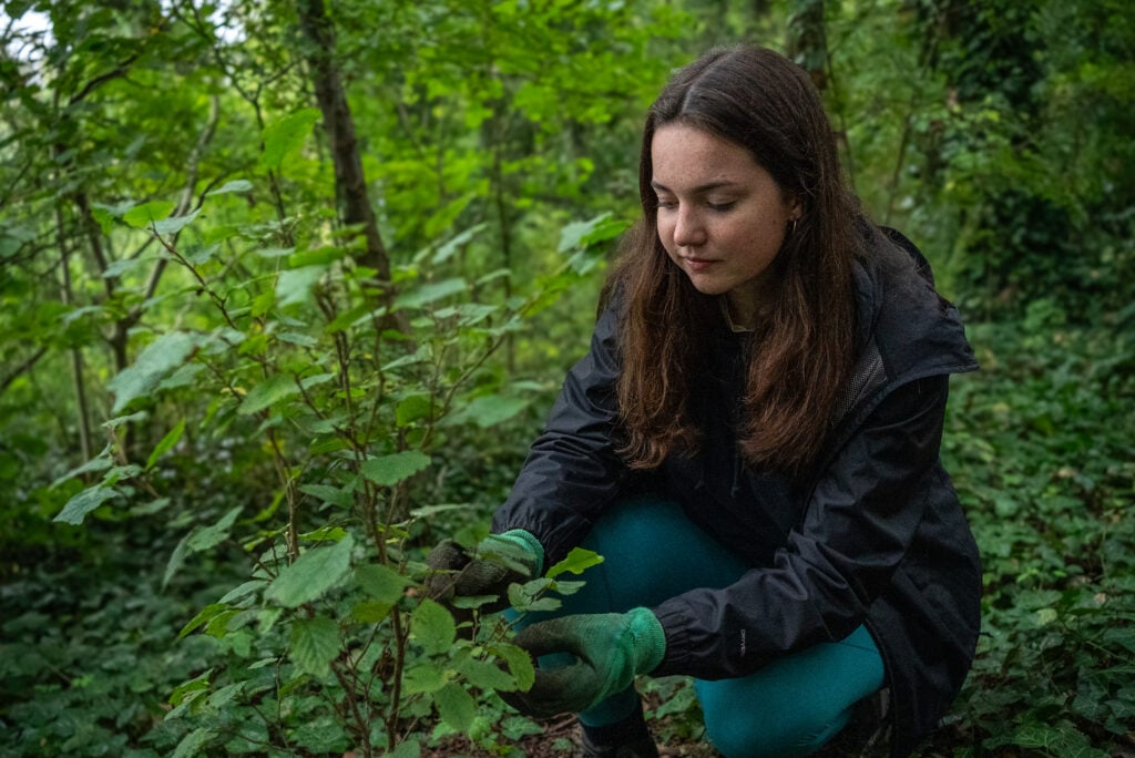 Lila is crouching in a dense green forest, wearing a dark waterproof jacket, teal pants, and green gardening gloves. She is examining or handling leafy plants among the undergrowth, surrounded by tall trees and lush foliage. The lighting is soft and natural, giving the scene a serene, woodland atmosphere.