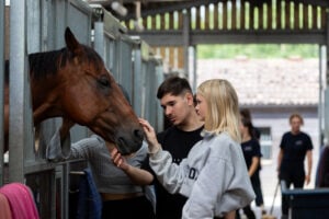 A young woman and a young man interact with a brown horse in a stable. The woman gently pets the horse's nose, while the man watches attentively. In the background, other people are engaged in various activities within the stable. The setting is bright and airy, with wooden beams and open stalls.
