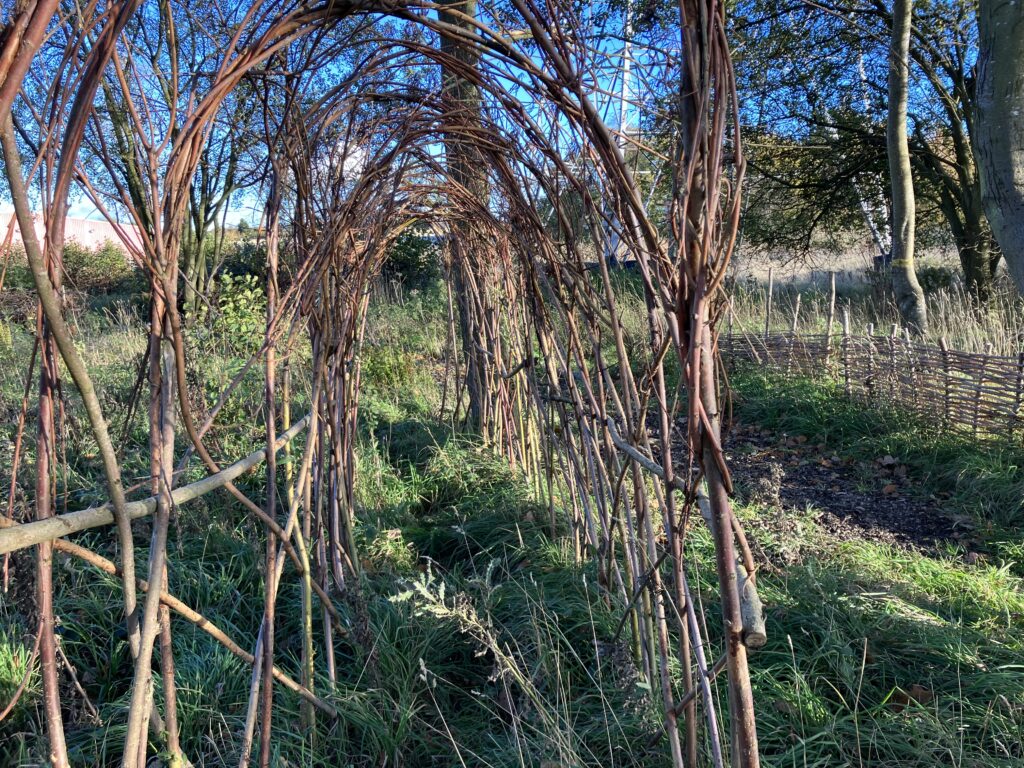 Homemade willow arch outside.