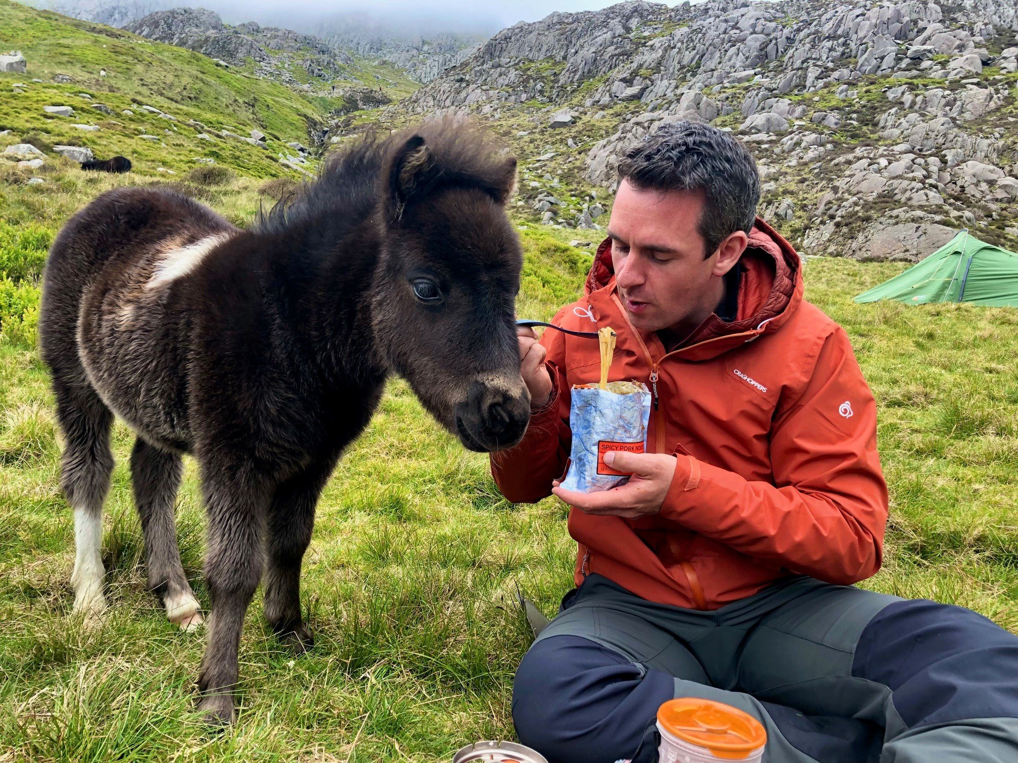 David Love, dressed in an orange outdoor jacket and sitting on grassy terrain in a mountainous area, shares his meal with a curious, fluffy black and white pony. A green tent is visible in the background among rocky hills and misty peaks, suggesting a camping trip in a remote, scenic location.