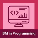 BM in Programming Logo