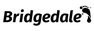 Bridgedale icon