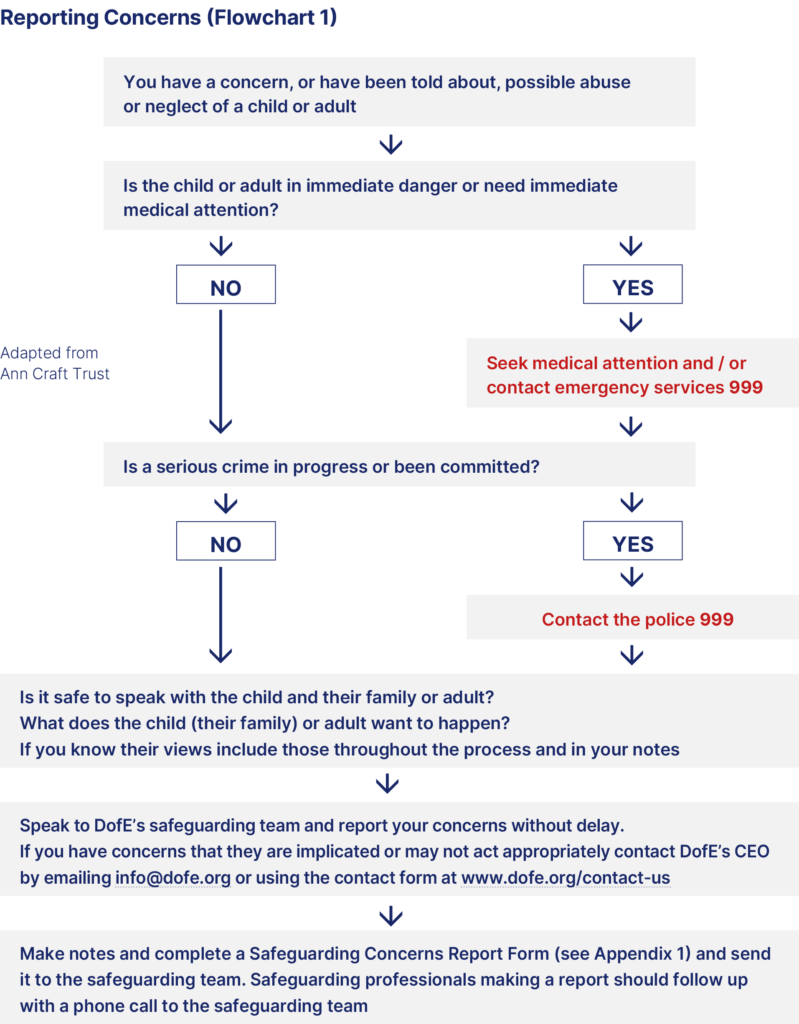 Flowchart for reporting concerns.