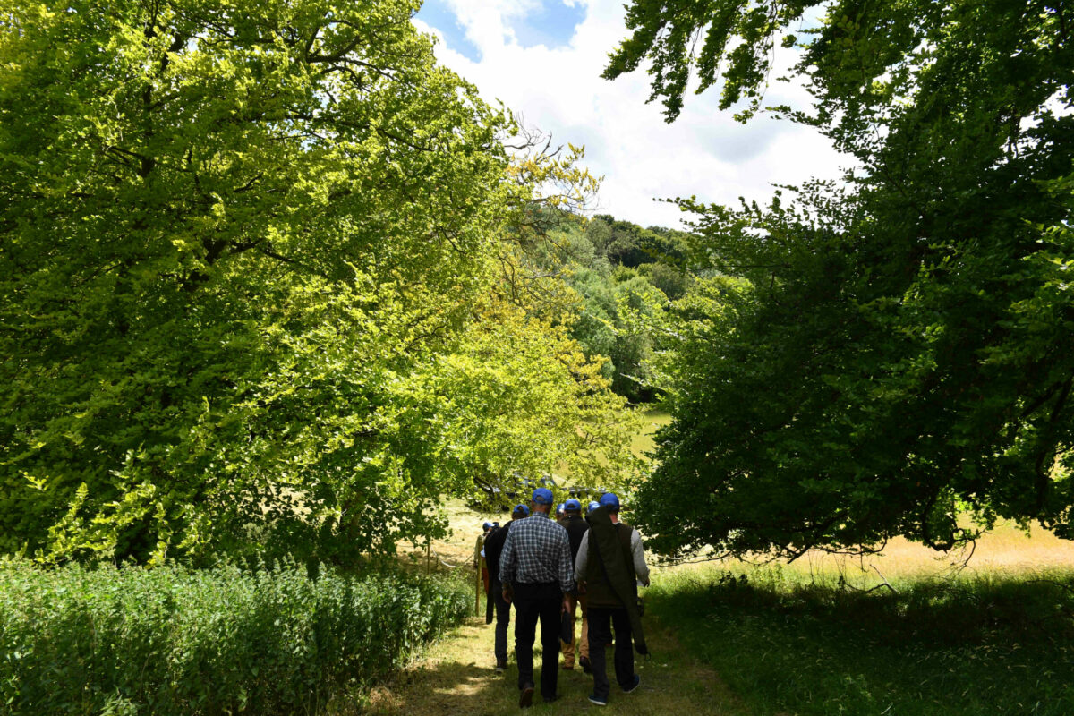 Group of people in wood clay pigeon shooting