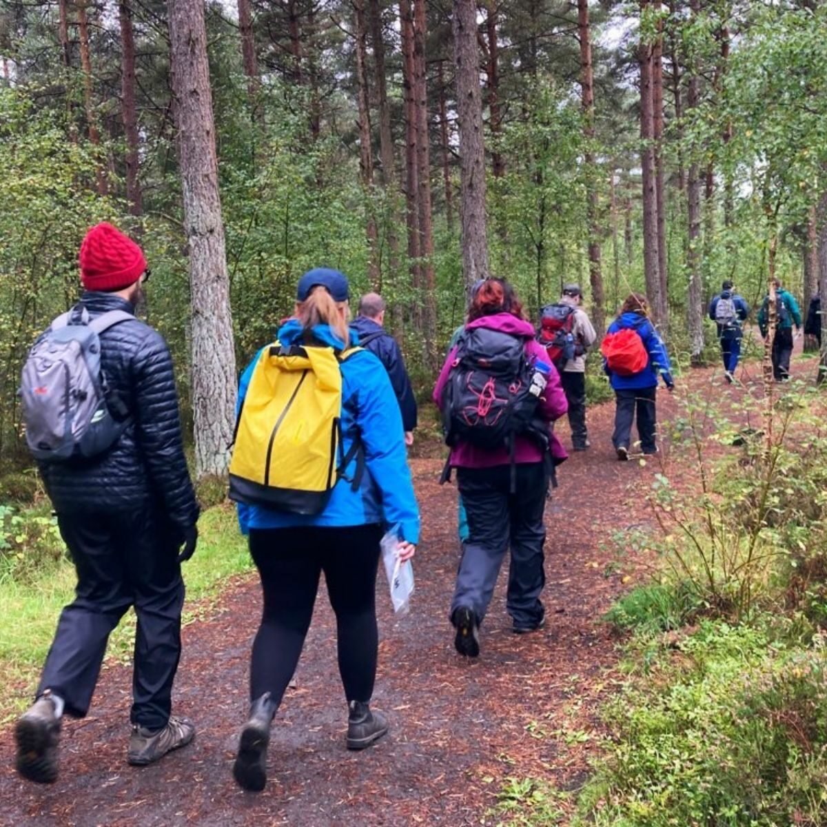 Photo of a group walking away on a forest trail