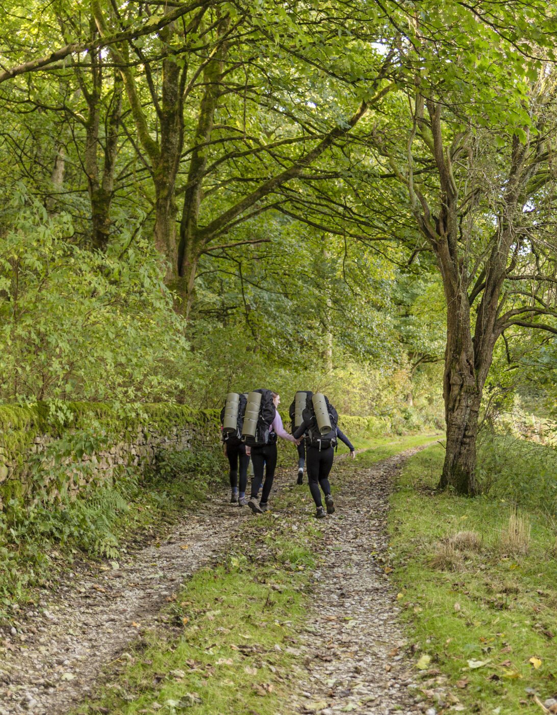Three hikers with large backpacks walk along a dirt path surrounded by lush green trees and foliage. The scene is bright and inviting, with dappled sunlight filtering through the leaves.