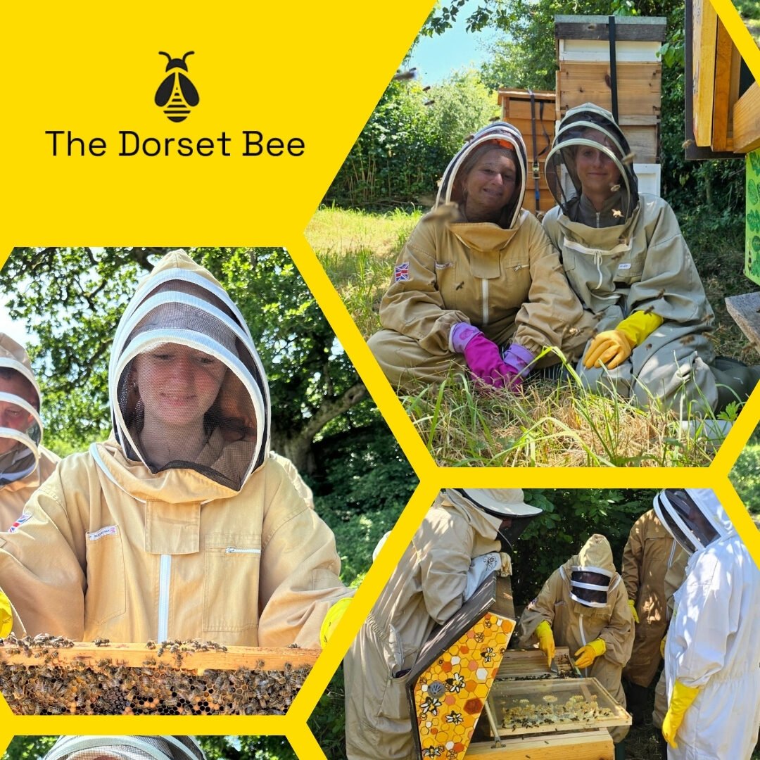 Images of young people bee keeping.