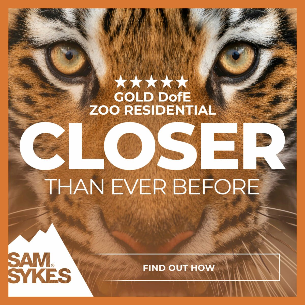 Close-up of a tiger’s face with piercing eyes, framed by an orange border. Bold white text in the centre reads “CLOSER THAN EVER BEFORE.” Above it, smaller text says “★★★★★ GOLD DofE ZOO RESIDENTIAL.” At the bottom left, there is a white mountain-shaped logo with the words “SAM SYKES.” A rectangular button at the bottom centre reads “FIND OUT HOW.”