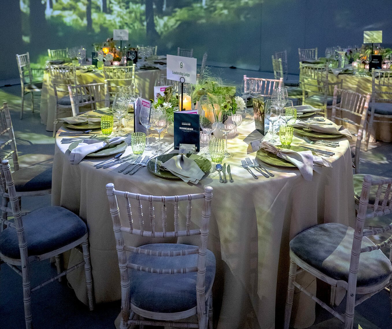 A round banquet table is elegantly set for a formal event, with neatly arranged plates, glasses and greenery centrepieces. Transparent chairs surround the table, and similar tables fill the room. Tall projected images of a sunlit forest create an immersive backdrop along the walls, giving the space a woodland atmosphere.