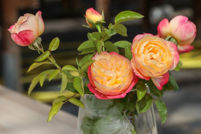 Close-up of several pink and cream roses in bloom, with soft yellow centres and layered petals, arranged with green leaves in a clear glass vase. A few unopened buds sit to the left, while the background is softly blurred, drawing focus to the flowers.