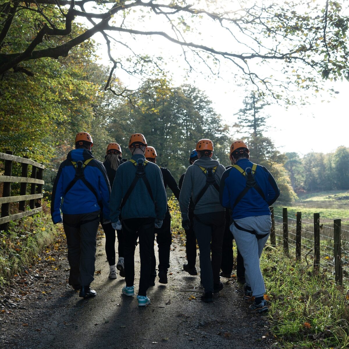 A group of six people walking along a tree-lined path, wearing backpacks and orange helmets.