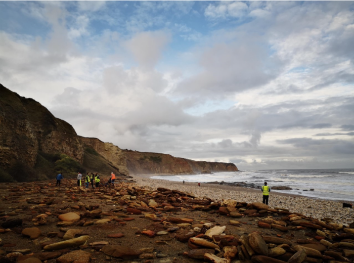 Volunteers on a rocky beach beneath cliffs during a coastal clean-up.