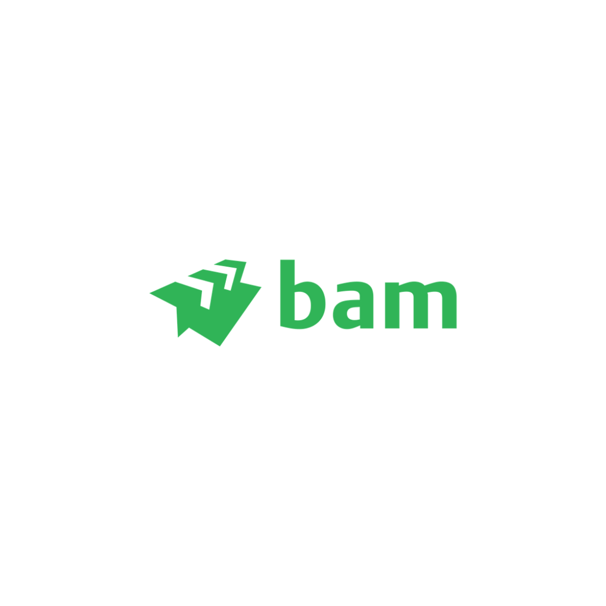 BAM logo