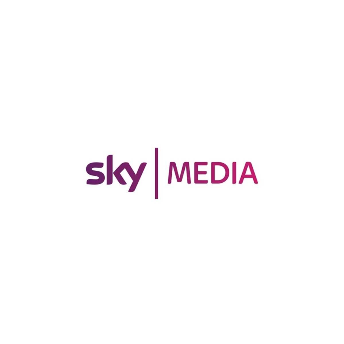 Sky Media logo