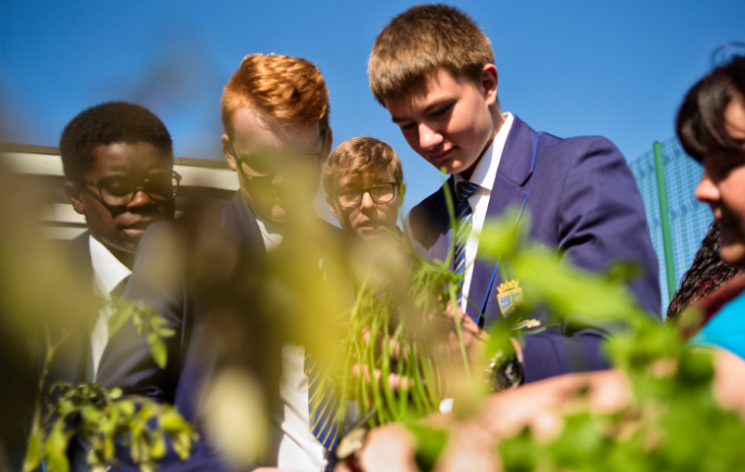 Boys gardening