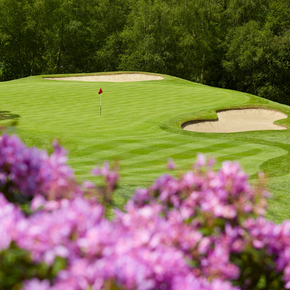 Gold course with a flag