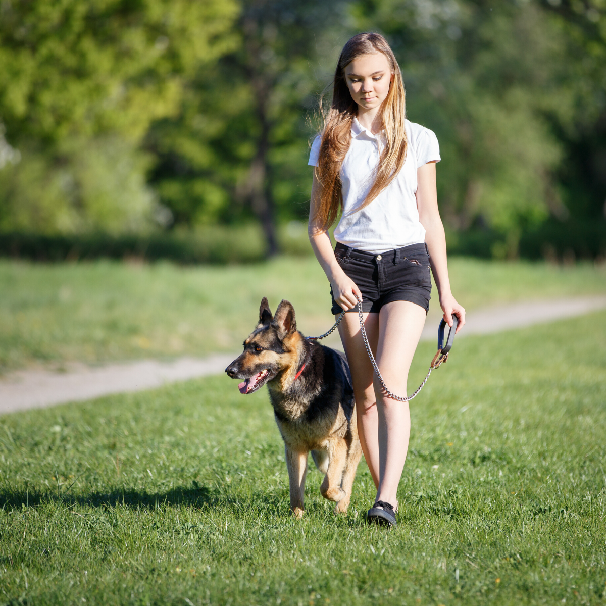 Young woman walking large dog on lead