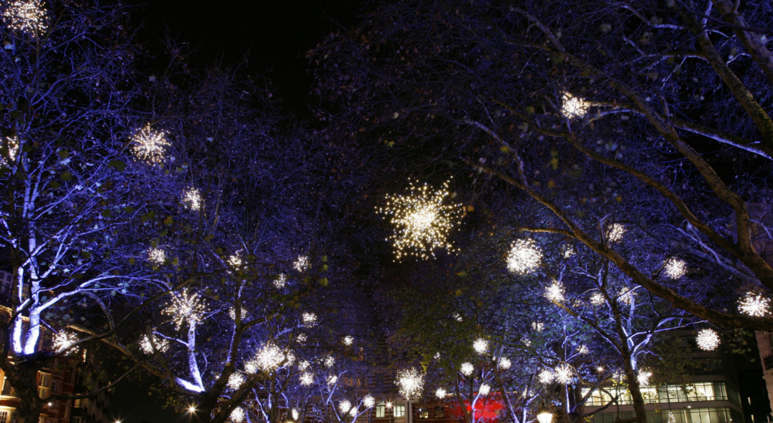 Fireworks in night sky