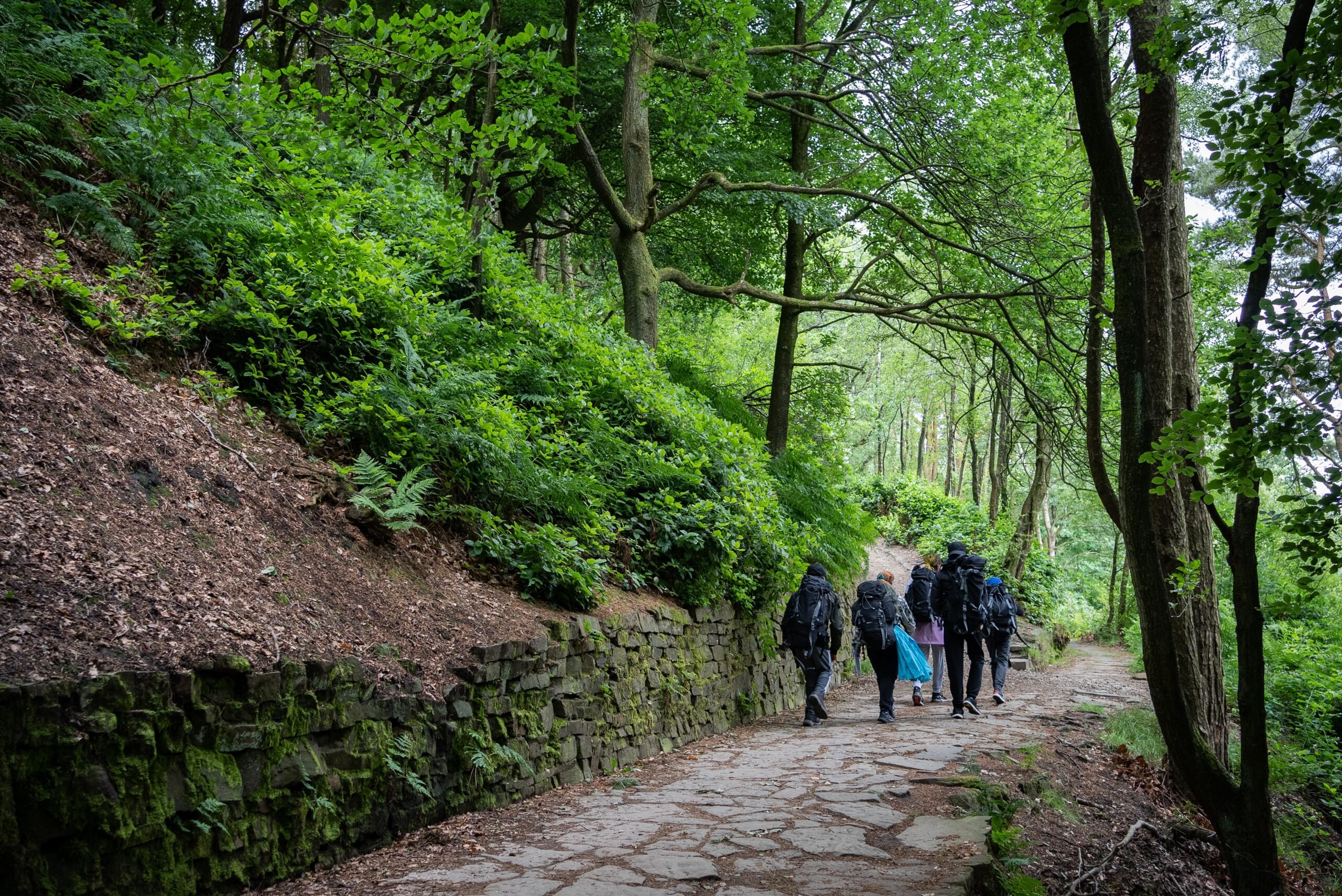 A group of people walking along a path surrounded by greenery and trees.
