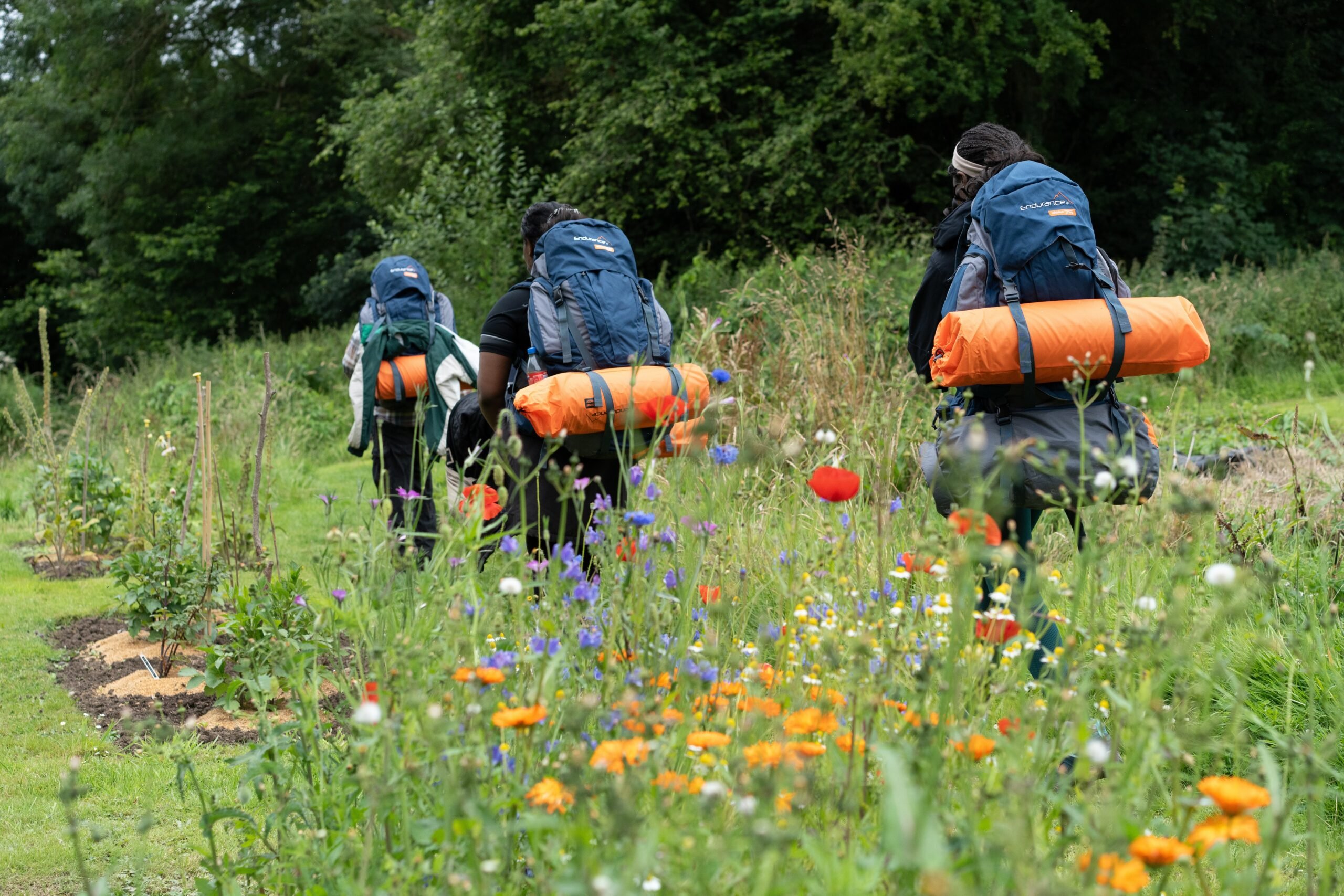 Three young people with full rucksacks walking on a path next to a wildflower bed.