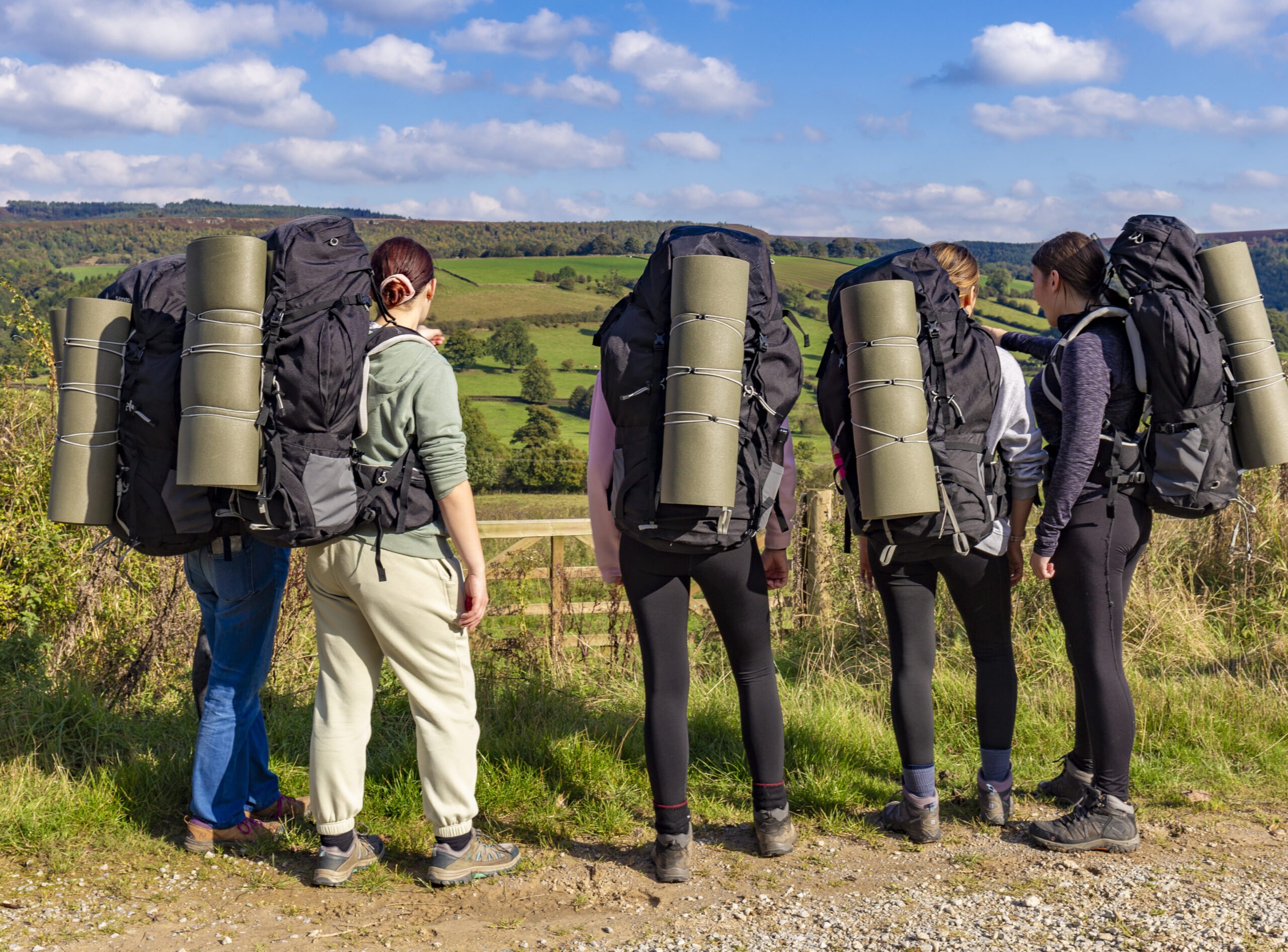 Five young people with full rucksacks looking at a view of grassy hills.