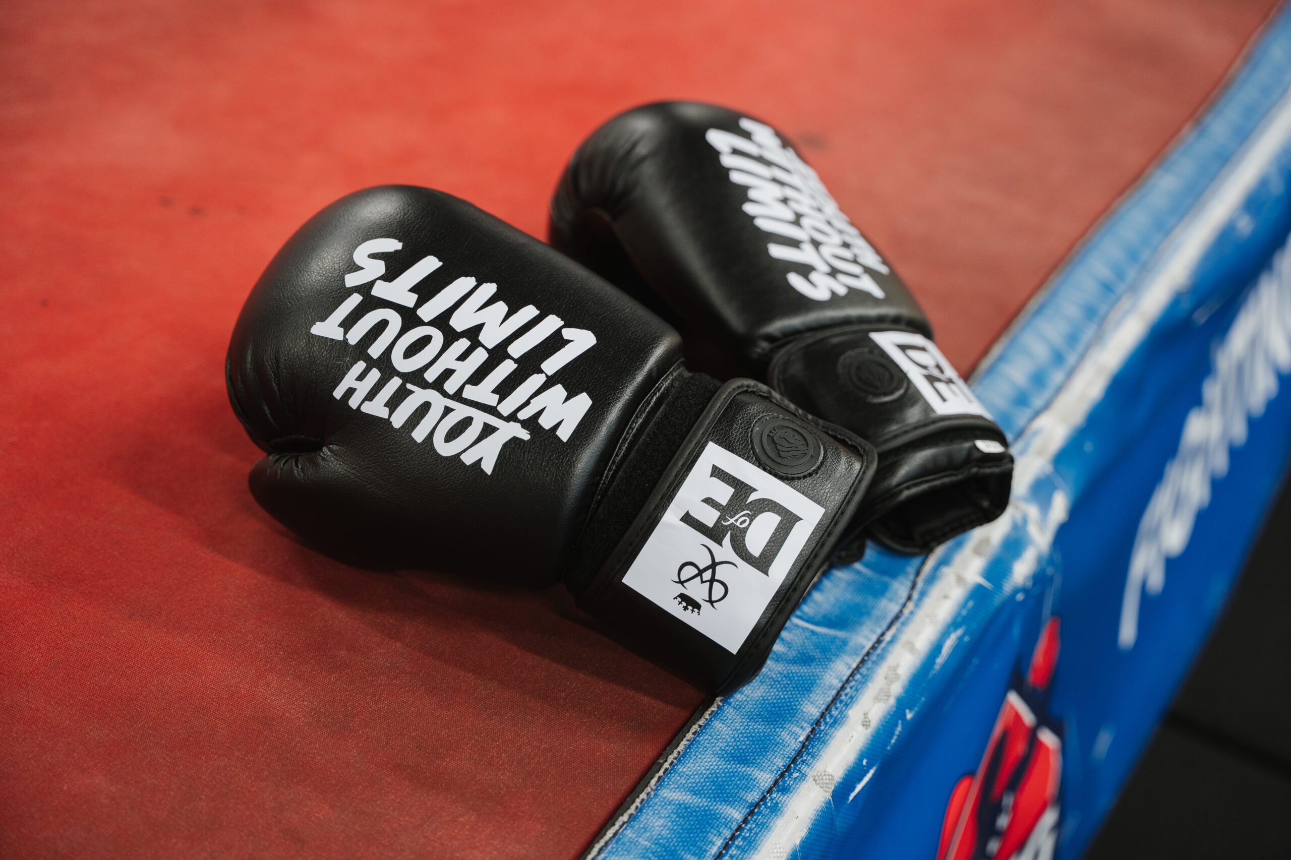 A pair of black boxing gloves with the D of E logo and Youth Without Limits on them.